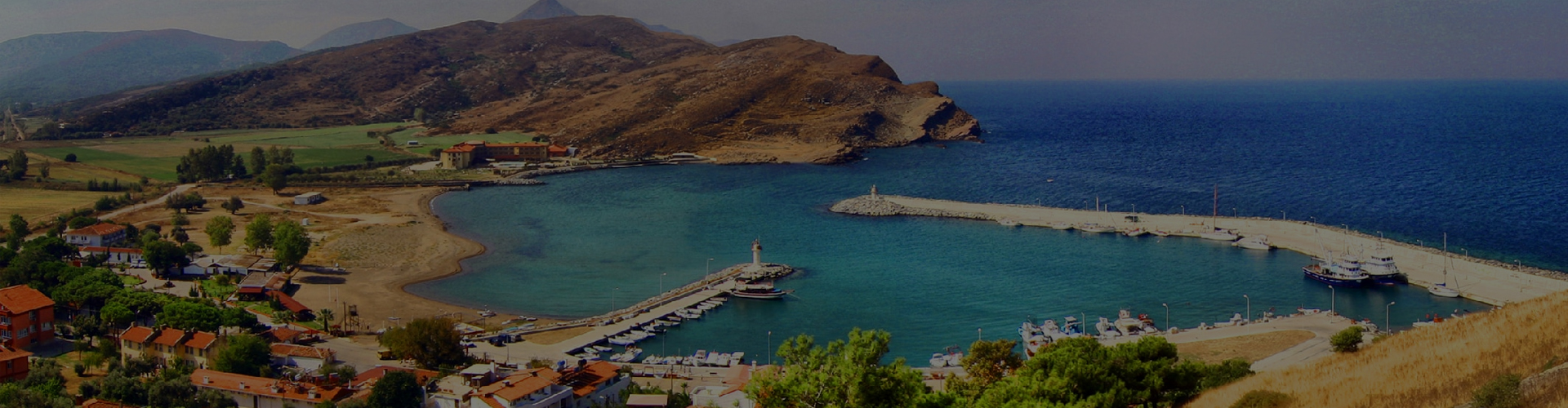 Hakkımızda